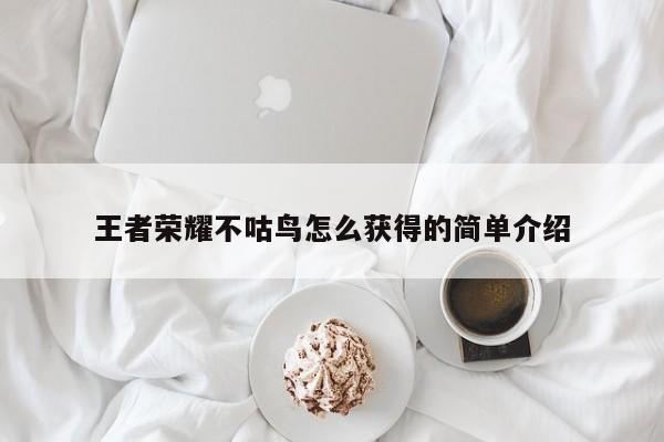 王者荣耀不咕鸟怎么获得的简单介绍