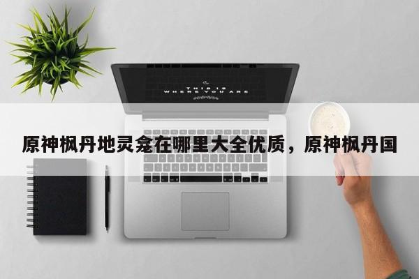原神枫丹地灵龛在哪里大全优质，原神枫丹国