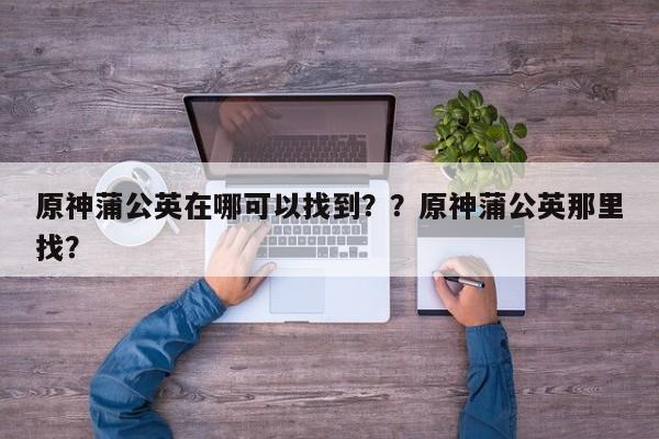 原神蒲公英在哪可以找到？？原神蒲公英那里找？