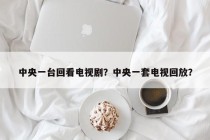 中央一台回看电视剧？中央一套电视回放？