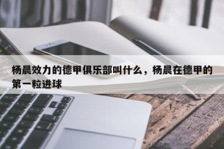 杨晨效力的德甲俱乐部叫什么，杨晨在德甲的第一粒进球