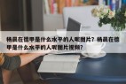 杨晨在德甲是什么水平的人呢图片？杨晨在德甲是什么水平的人呢图片视频？