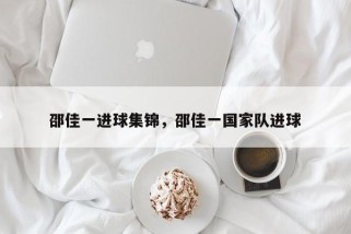 邵佳一进球集锦，邵佳一国家队进球