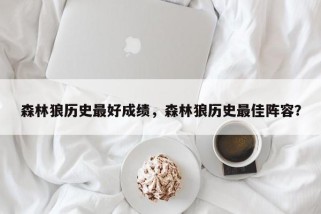森林狼历史最好成绩，森林狼历史最佳阵容？