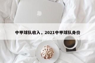 中甲球队收入，2021中甲球队身价