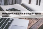 杨晨在德甲真的很强吗知乎小说全文？杨晨德甲经历？
