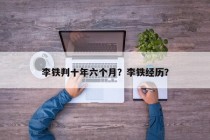 李铁判十年六个月？李铁经历？