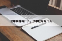 法甲奖杯叫什么，法甲冠军叫什么