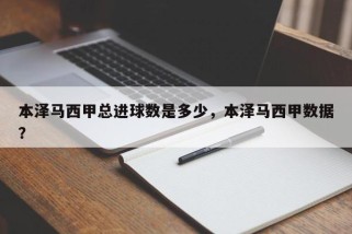 本泽马西甲总进球数是多少，本泽马西甲数据？