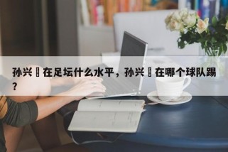 孙兴慜在足坛什么水平，孙兴慜在哪个球队踢？