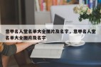 意甲名人堂名单大全图片及名字，意甲名人堂名单大全图片及名字