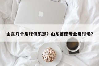 山东几个足球俱乐部？山东首座专业足球场？