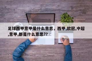 足球西甲意甲是什么意思，西甲,欧冠,中超,意甲,都是什么意思?？