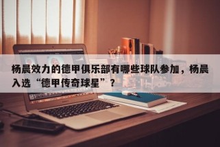 杨晨效力的德甲俱乐部有哪些球队参加，杨晨入选“德甲传奇球星”？