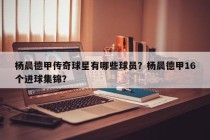 杨晨德甲传奇球星有哪些球员？杨晨德甲16个进球集锦？