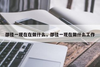 邵佳一现在在做什么，邵佳一现在做什么工作