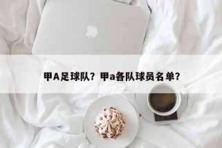 甲A足球队？甲a各队球员名单？
