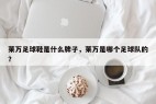 莱万足球鞋是什么牌子，莱万是哪个足球队的？
