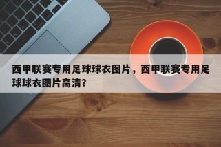 西甲联赛专用足球球衣图片，西甲联赛专用足球球衣图片高清？